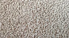 Dodao sam ovo u tlo – i biljke su prestale trunuti i venući.