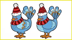 Samo 30% ljudi može uočiti svih 5 razlika u 10 sekundi.