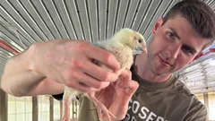 27-godišnji bankar odustao je od plaće od 150.000 dolara kako bi uzgajao kokoši – i evo zašto