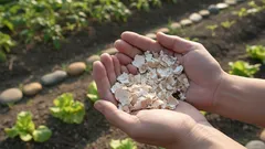 Bacate ih uzalud! Gdje ljuske jaja zaista mogu spasiti vaše biljke