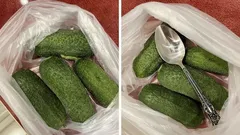 Hrskavi krastavci do 10 dana? Sve je to zahvaljujući jednostavnoj žlici.