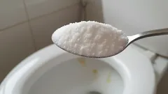 Jednostavno naspite jednu žlicu ovog domaćeg lijeka u WC preko noći – i oprostite se od neugodnih mirisa i kamenca.